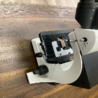 Am Scope microscope image 2